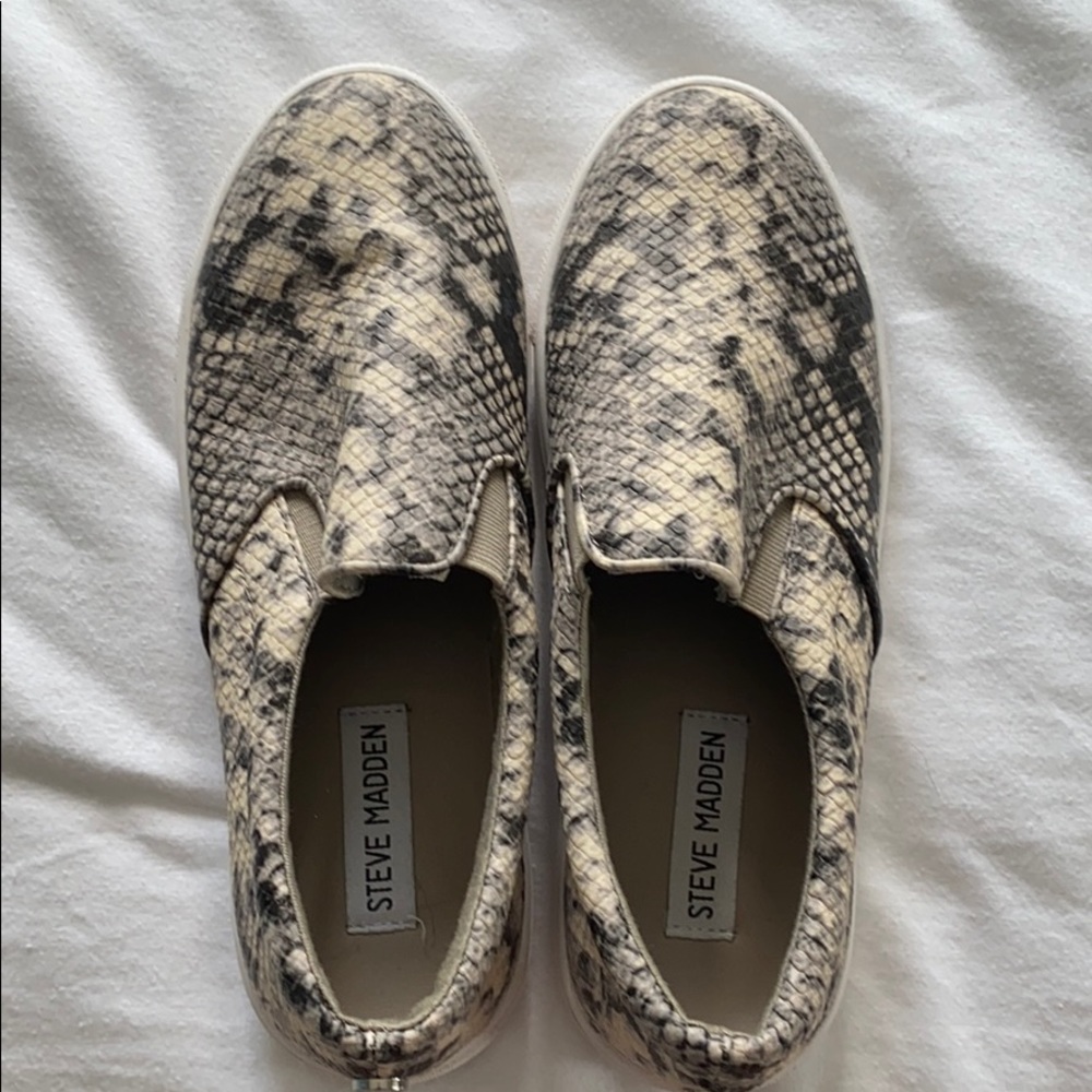 10% OFF!! Steve madden snake skin sneakers